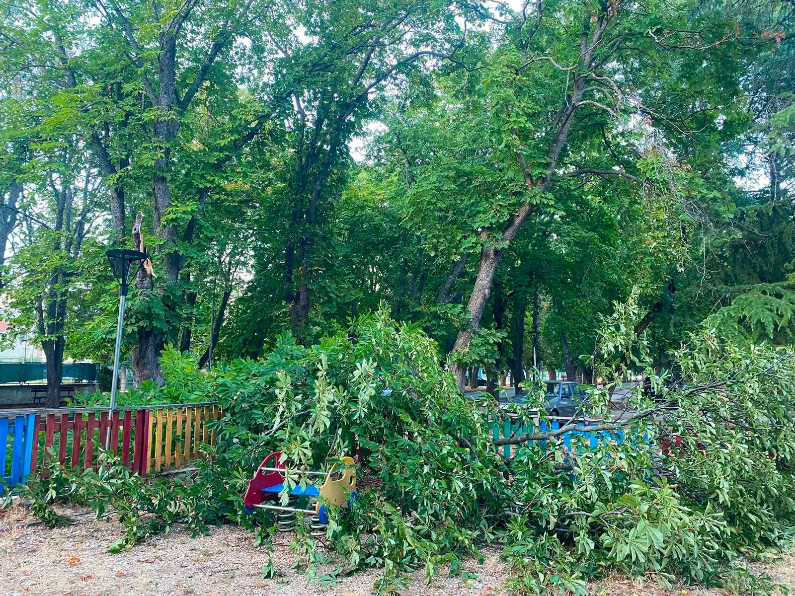Albero precipita, paura nel parco giochi. Scatta la chiusura a Raiano