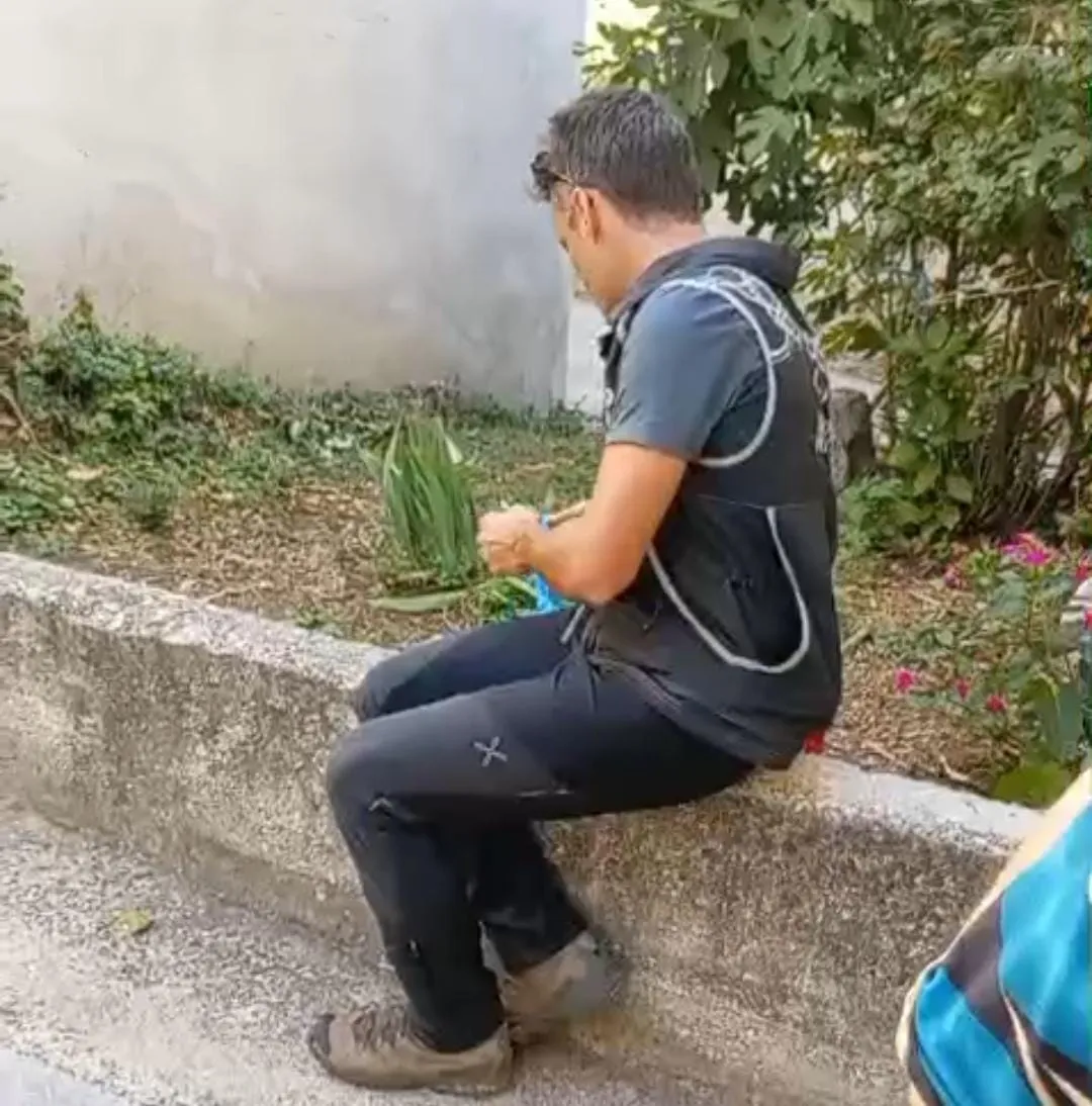 Cocullo, esche avvelenate. Trovate undici carcasse in due anni