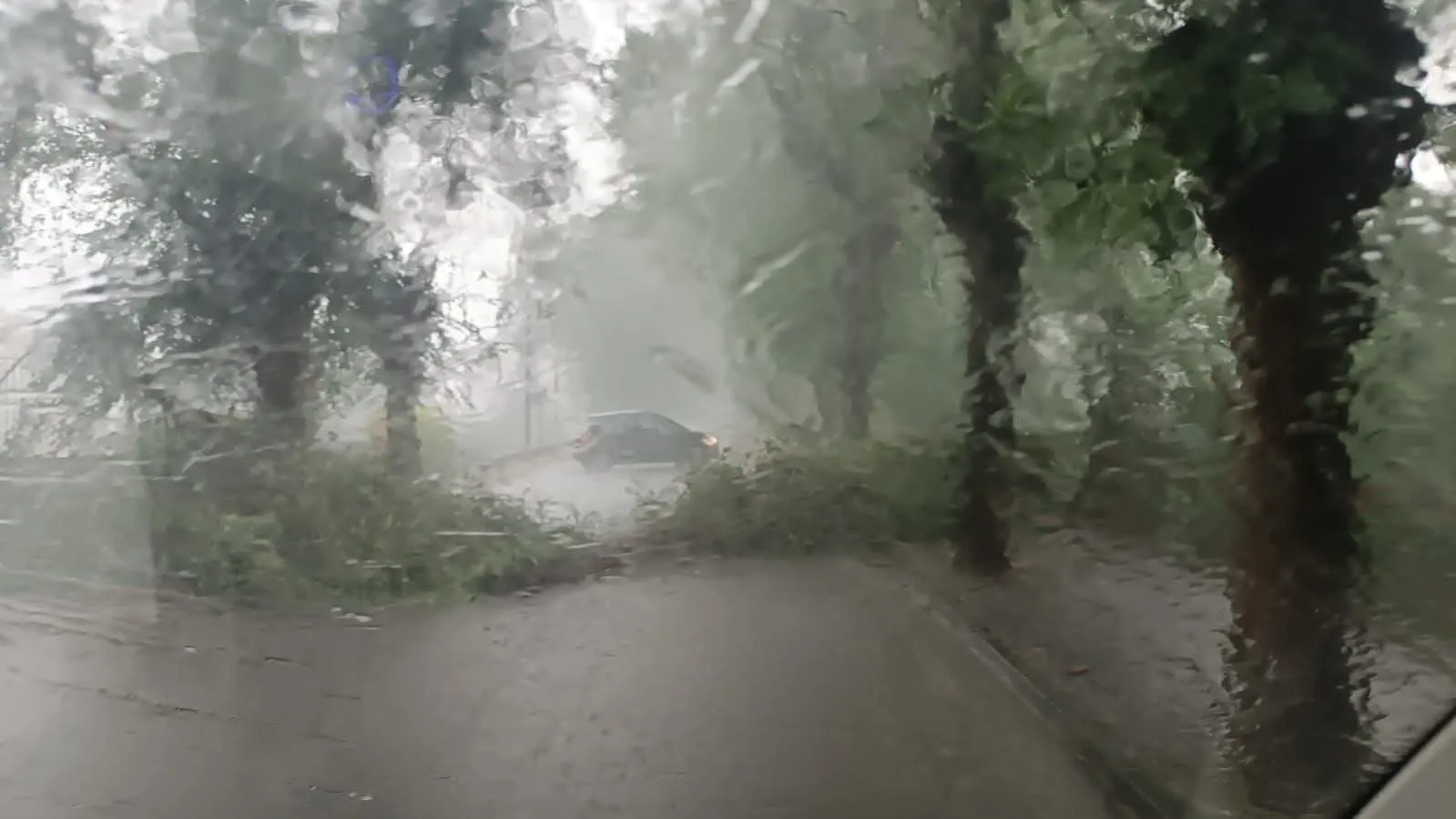 Allagamenti e alberi caduti. Sulmona messa a dura prova per il maltempo