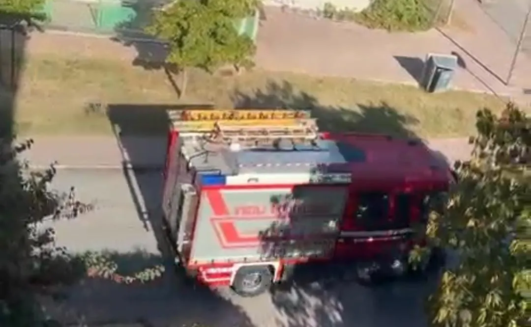 Rogo in piazza Tacito. Bruciati i mastelli della differenziata