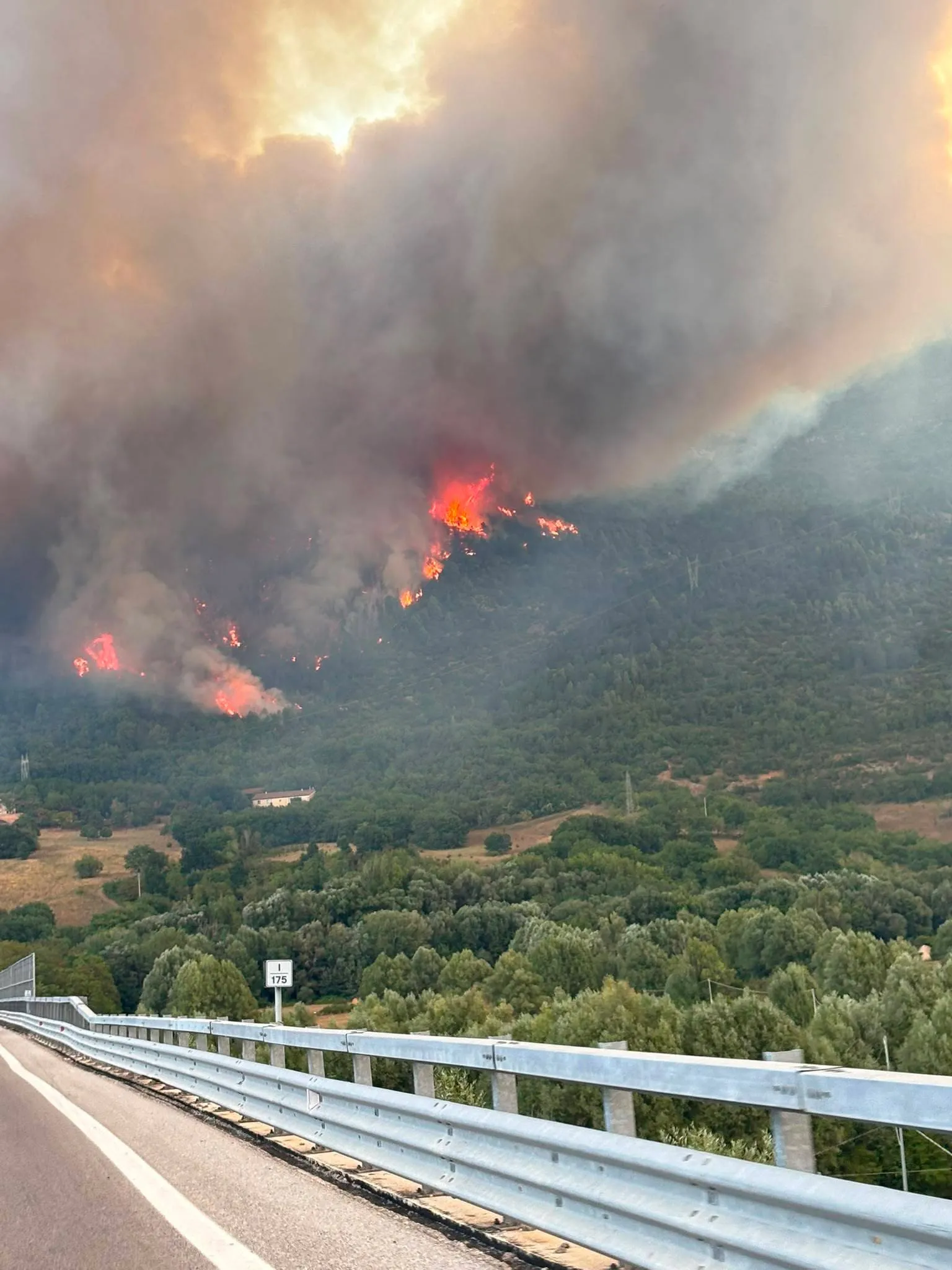 Morrone, allevamenti a rischio. Roccasale chiude strada per Valle dei Preti