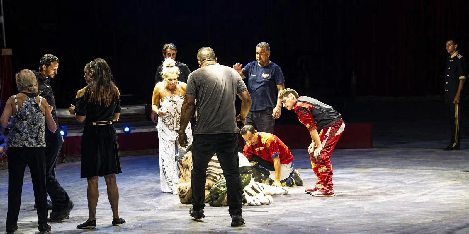 Aperta un'inchiesta per l'incidente al circo: al vaglio corda e imbracatura. Chiesto il rimborso del biglietto