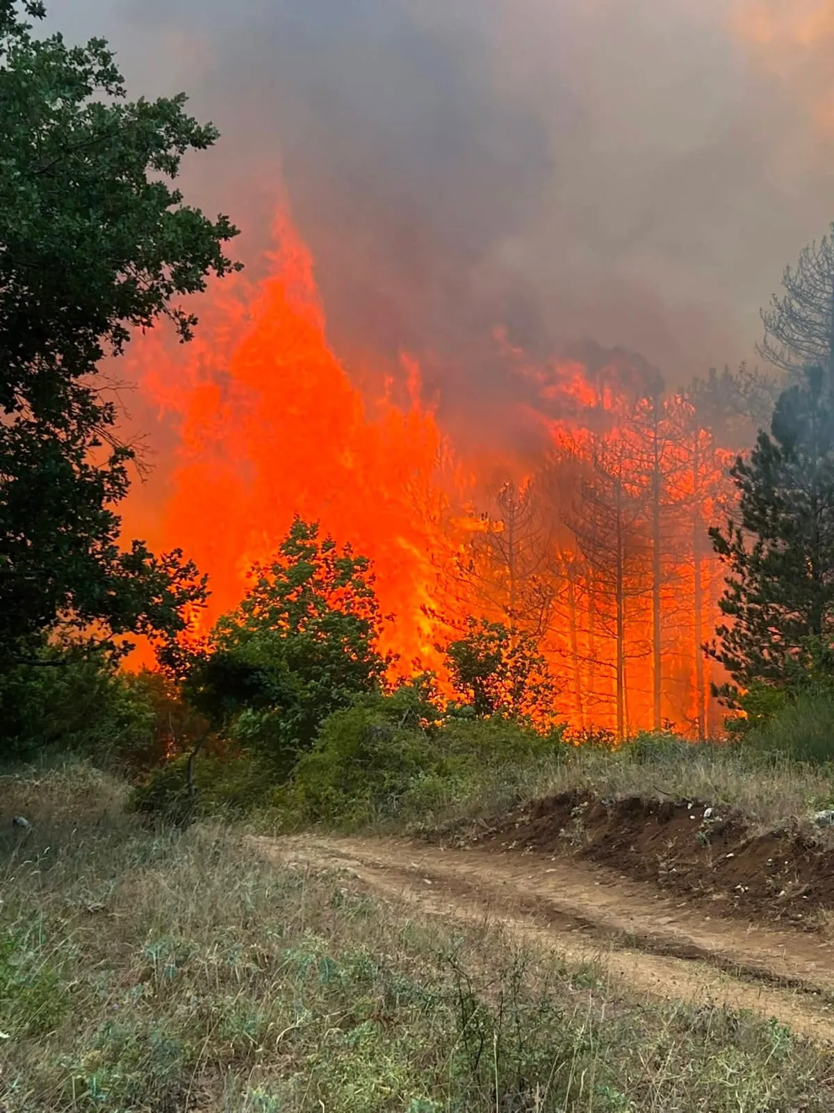 Mezzi dirottati e forte vento, le fiamme non arretrano. Lite per la "folle" ipotesi di evacuazione