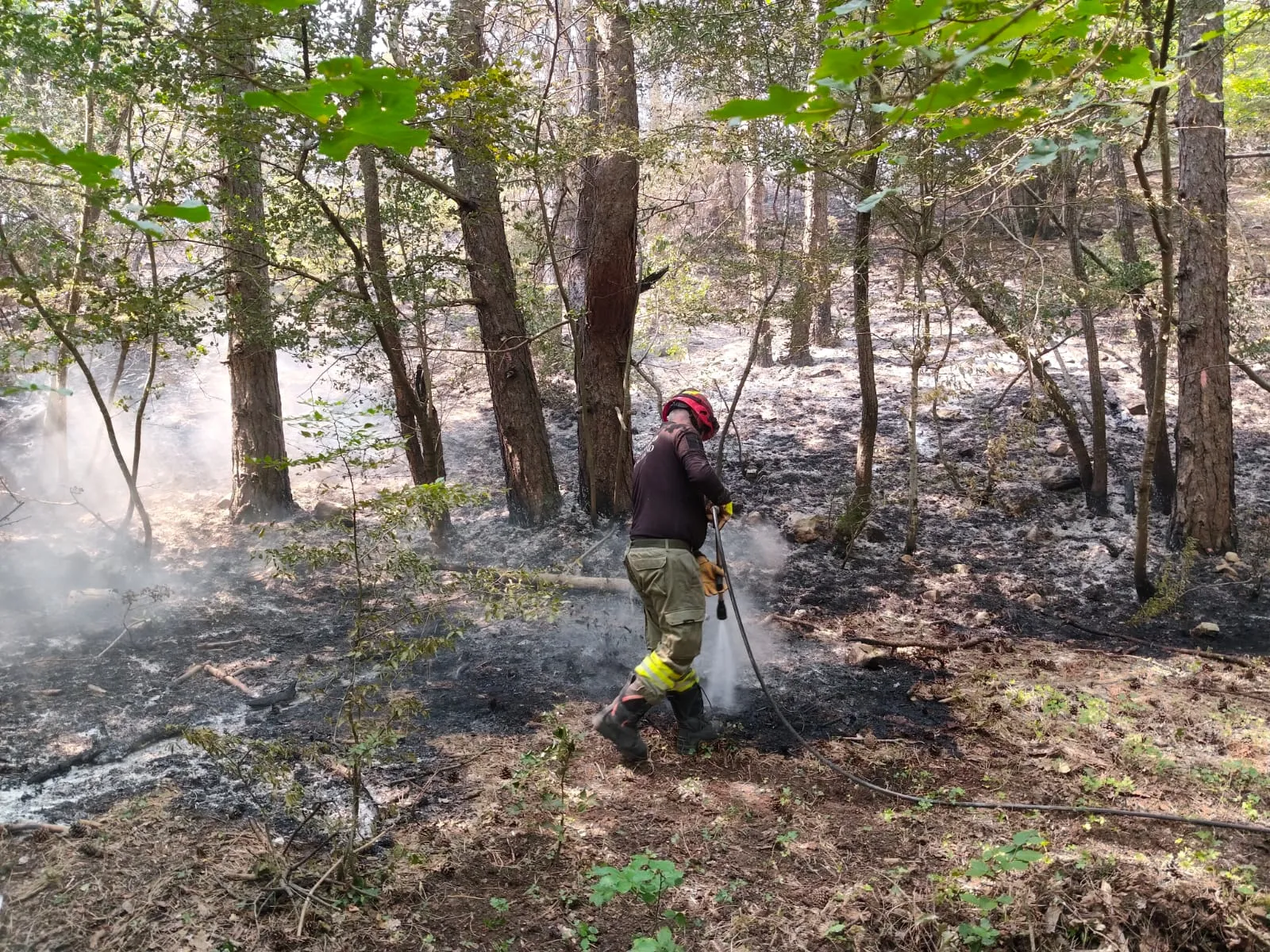 Morrone, poco vento e 200 sganci. Tracciata la strada per spegnere le fiamme
