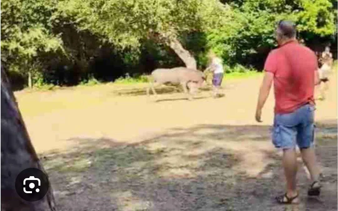 Sfida ai divieti per un selfie. Turisti allontanati a Scanno