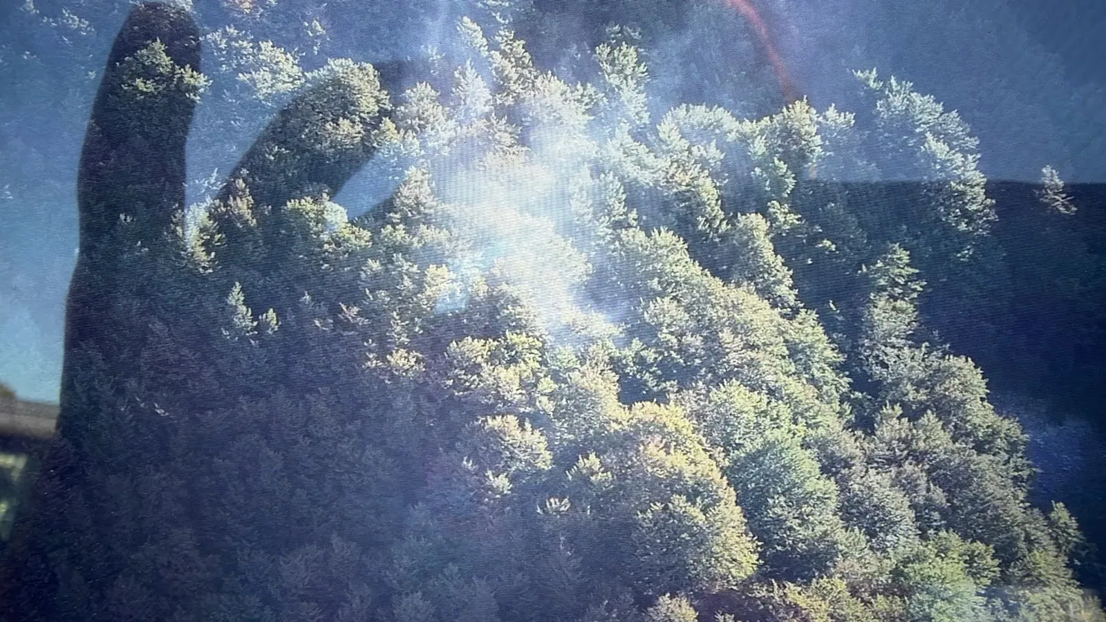 Post incendio: Morrone sotto esame. Arrivano gli esperti