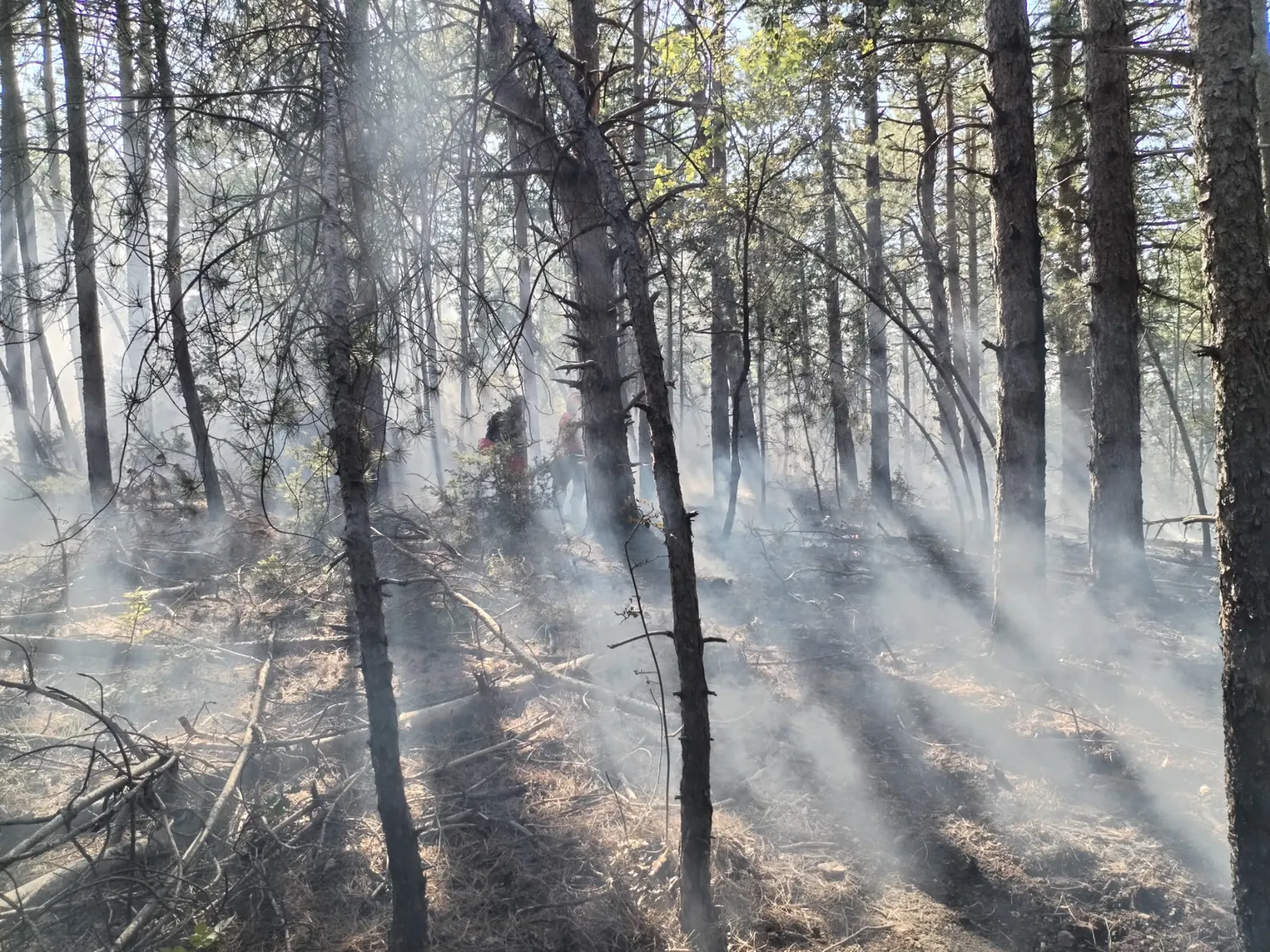 Morrone, la carica dei cento contro le fiamme. Ma sale la conta dei danni