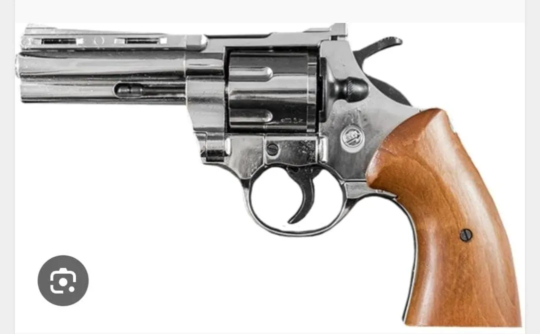 Pistola a tamburo e fucile in casa. Rischio processo per un pastore