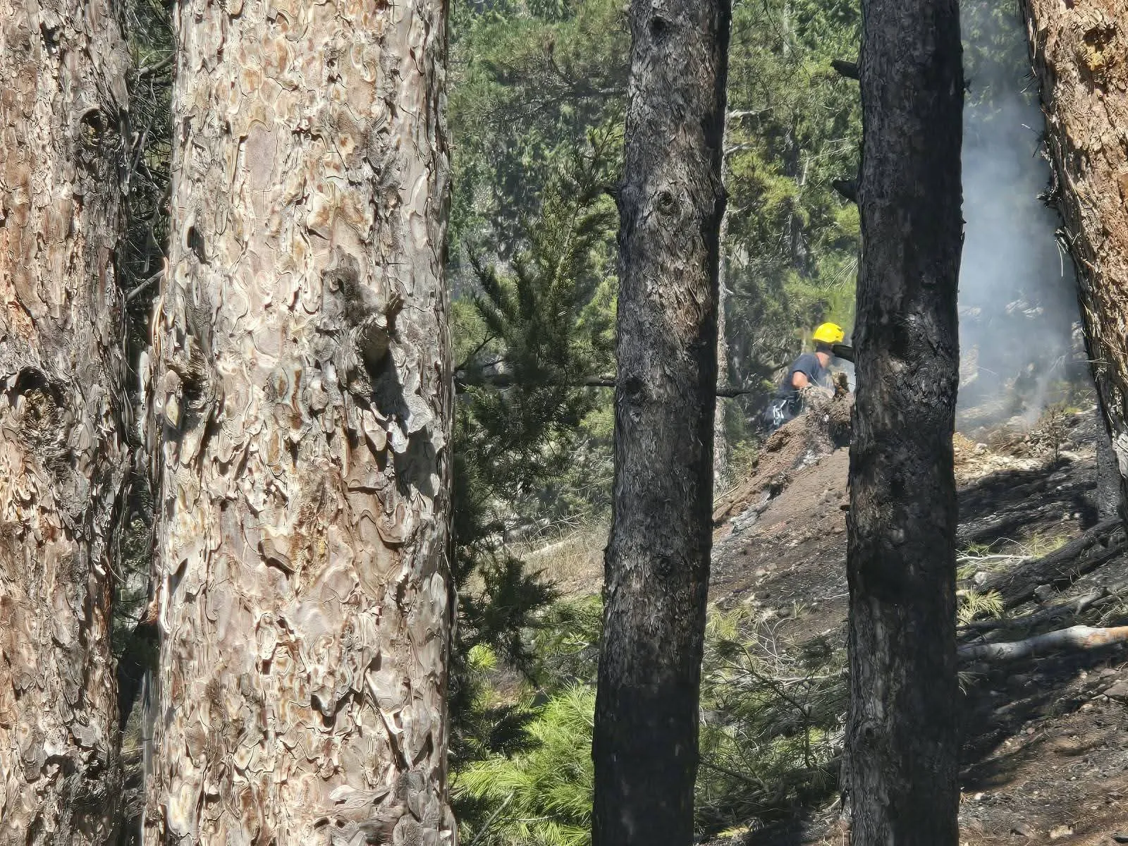 Morrone, quattro mezzi aerei e settanta uomini per chiudere la partita