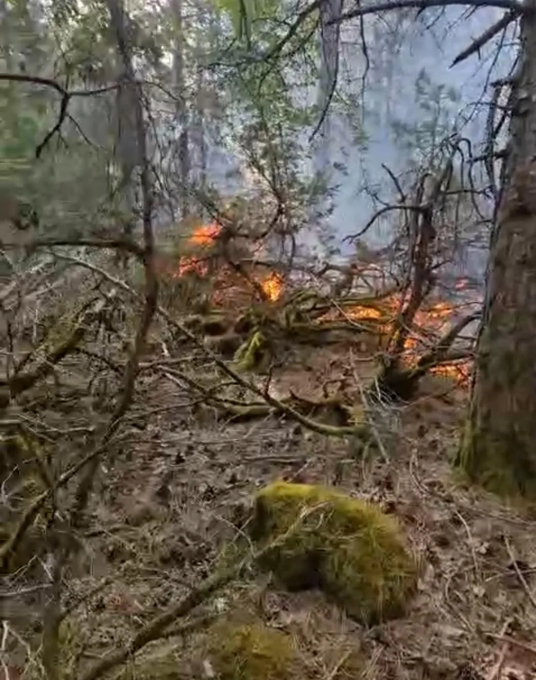 Morrone in fiamme, la procura apre inchiesta per Roccacasale. In fumo 50 ettari